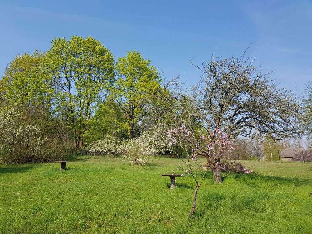 Thumbnail-Grundstück zu verkaufen in Werder (Havel) OT Leest 1.287.000,00 € 2679 m²