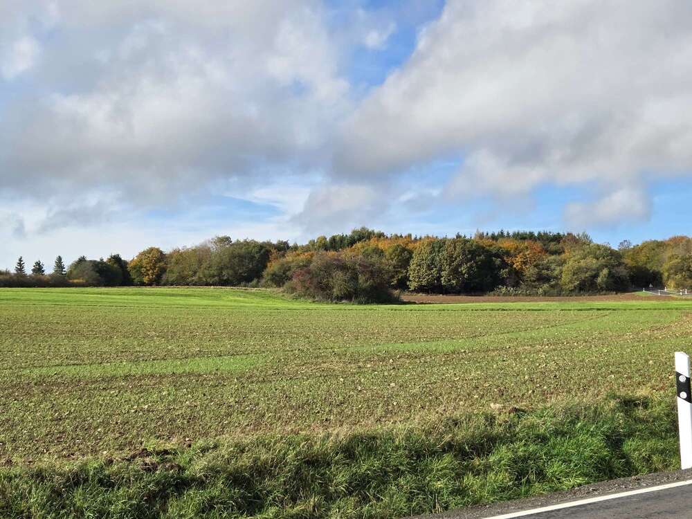 Thumbnail-Haus zum Kaufen in Blankenheim 650.000,00 € 200 m²