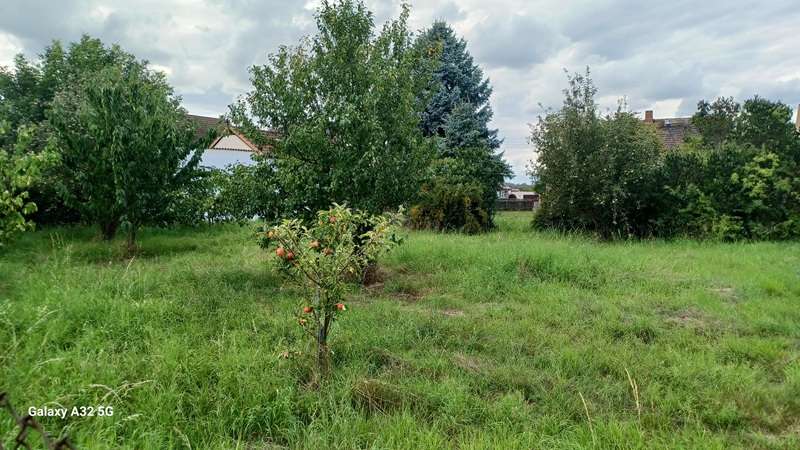 Thumbnail-Grundstück zu verkaufen in Meuselwitz 60.000,00 € 3100 m²