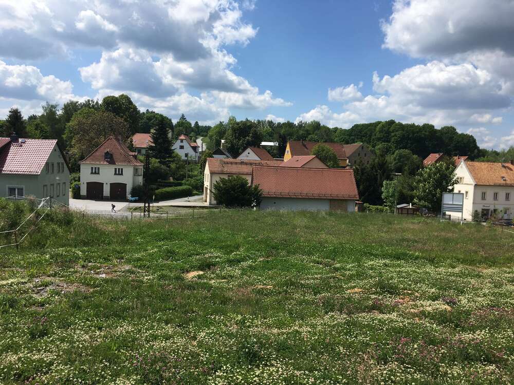 Thumbnail-Grundstück zu verkaufen in Struppen 130.000,00 € 838 m²