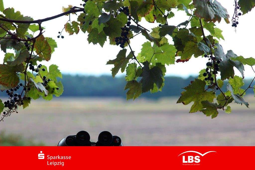 Thumbnail-Grundstück zu verkaufen in Zschepplin 120.000,00 € 812 m²