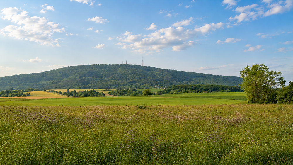 Thumbnail-Grundstück zu verkaufen in Weitersweiler 143.000,00 € 445 m²