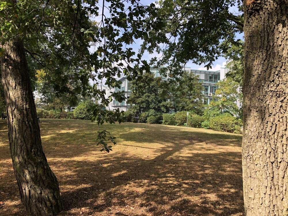 Thumbnail-Wohnung zum Mieten in Darmstadt 1.145,00 € 94.2 m²