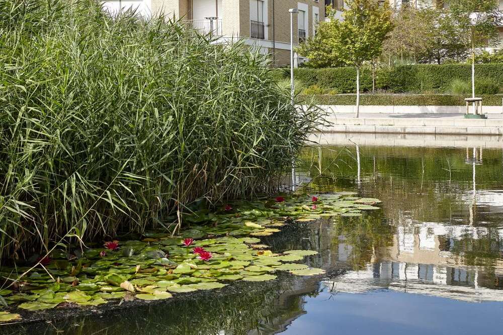 Thumbnail-Büro in Düsseldorf 1.395.000,00 € 152 m²