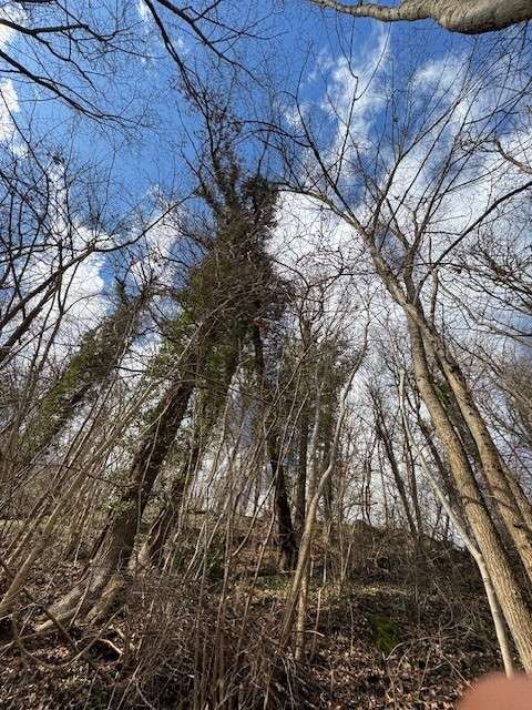 Thumbnail-Grundstück zu verkaufen in Neckartenzlingen 5.500,00 € 2123 m²