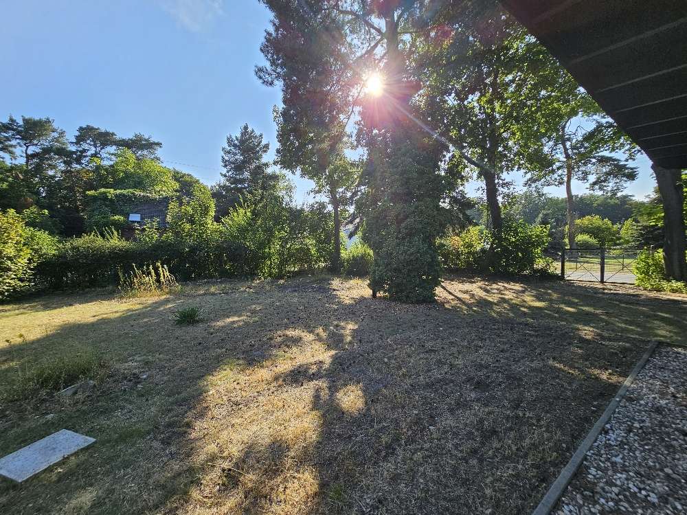 Thumbnail-Grundstück zu verkaufen in Falkensee 345.000,00 € 800 m²