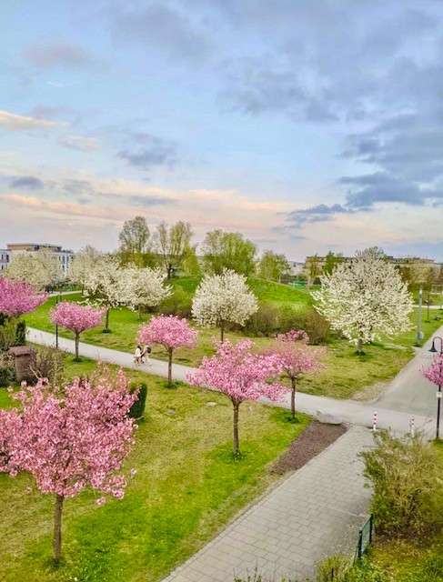 Thumbnail-Haus zum Kaufen in Olching 794.000,00 € 144 m²