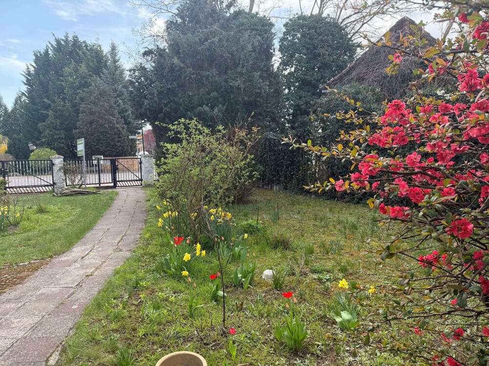 Thumbnail-Haus zum Kaufen in Fürstenwalde Spree 265.000,00 € 98 m²