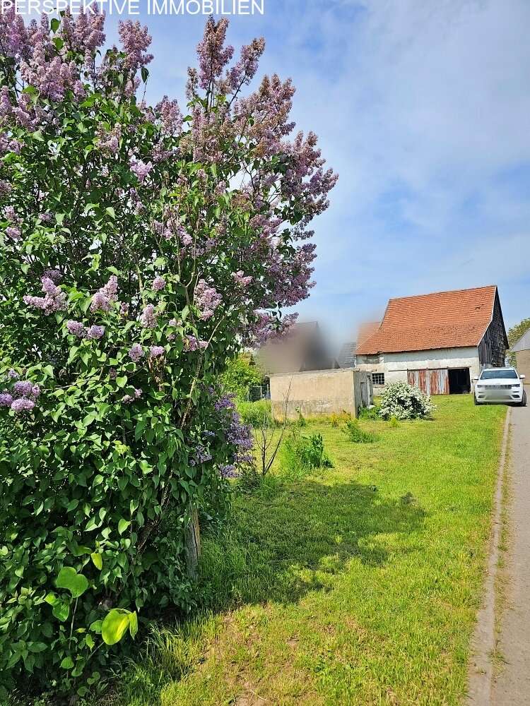 Thumbnail-Grundstück zu verkaufen in Michelstadt 83.000,00 € 687 m²