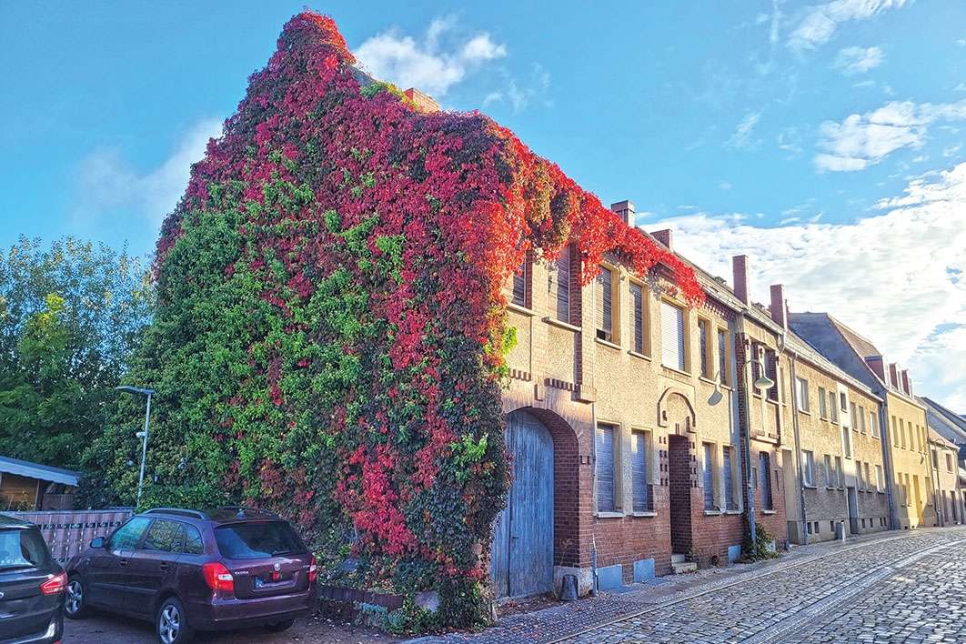 Thumbnail-Grundstück zu verkaufen in Coswig (Anhalt) 165.000,00 € 4202 m²