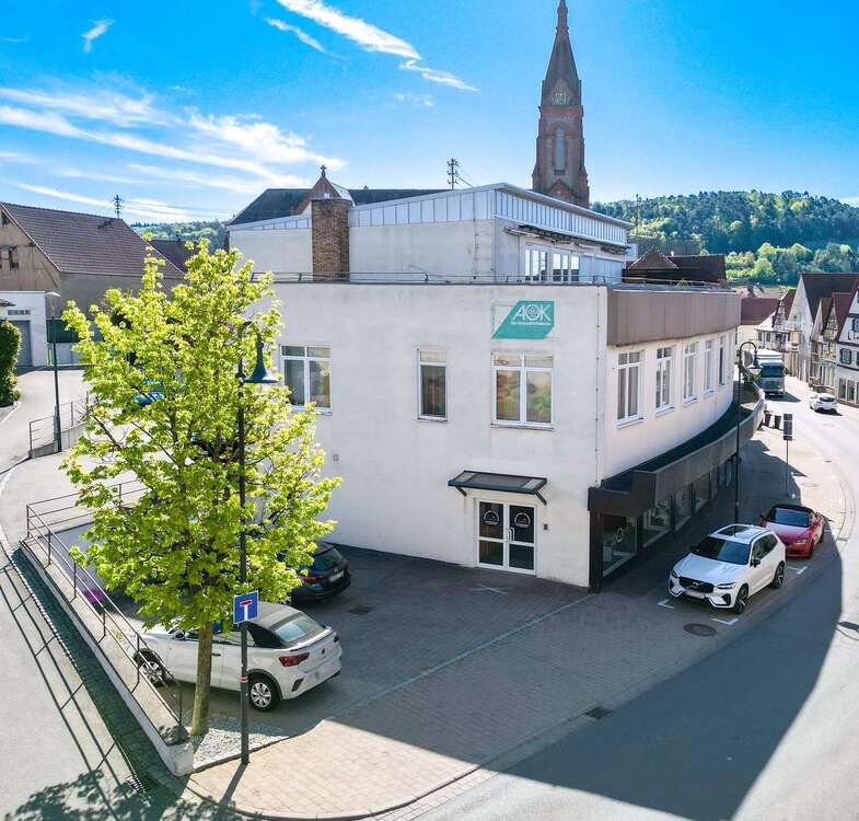 Thumbnail-Haus zum Kaufen in Hardheim 850.000,00 € 858 m²