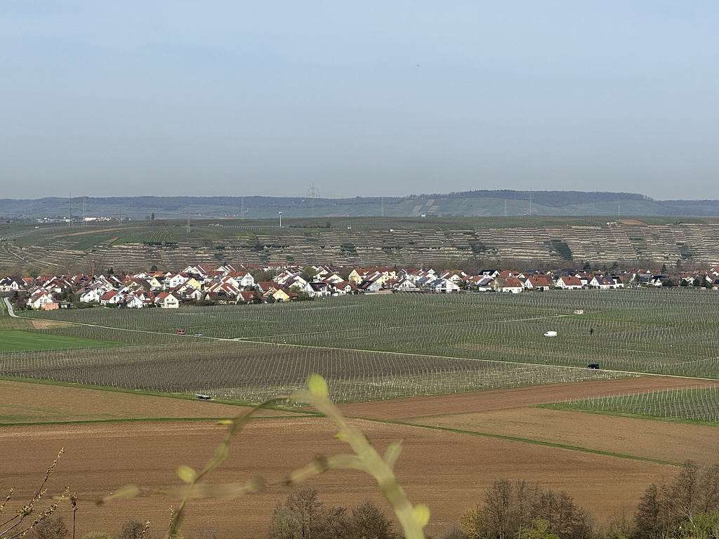 Thumbnail-Grundstück in Lauffen 123.900,00 € 17866 m²