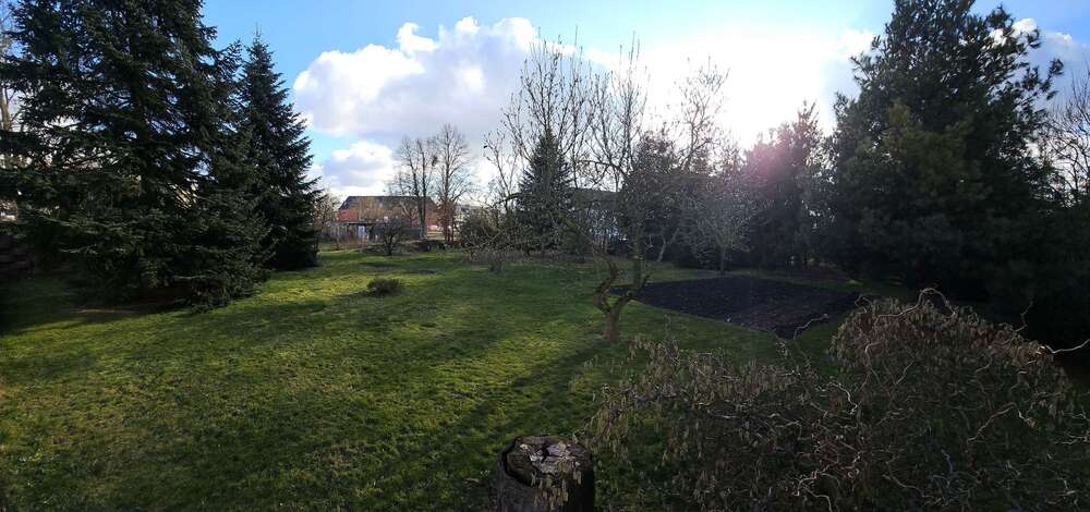 Thumbnail-Grundstück zu verkaufen in Lutherstadt Wittenberg 85.000,00 € 1213 m²