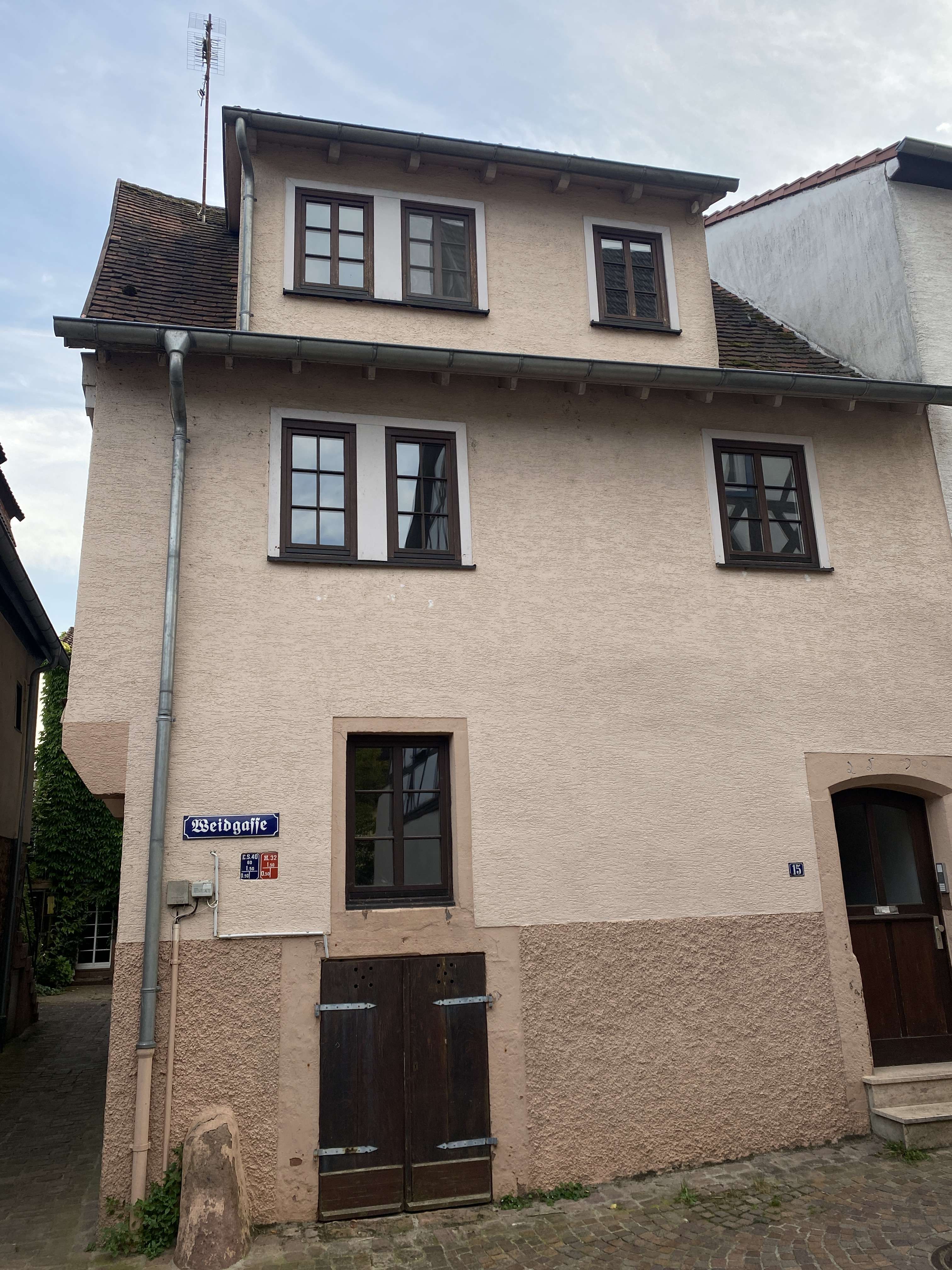 Thumbnail-Haus zum Kaufen in Hirschhorn 369.000,00 € 145 m²