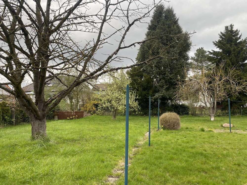 Thumbnail-Haus zum Kaufen in Bad Nenndorf 398.000,00 € 198 m²