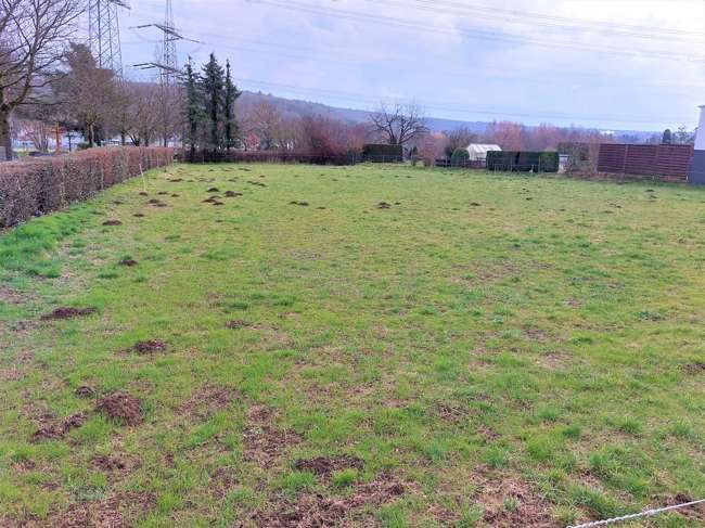 Thumbnail-Grundstück zu verkaufen in Alfter Impekoven 289.500,00 € 822 m²