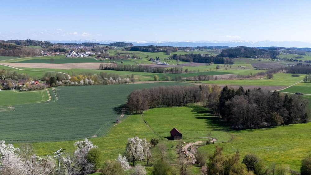 Thumbnail-Haus zum Kaufen in Grünkraut 895.000,00 € 155 m²