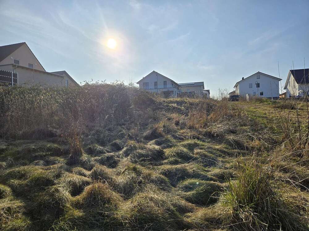 Thumbnail-Grundstück zu verkaufen in Langenlonsheim 305.000,00 € 832 m²