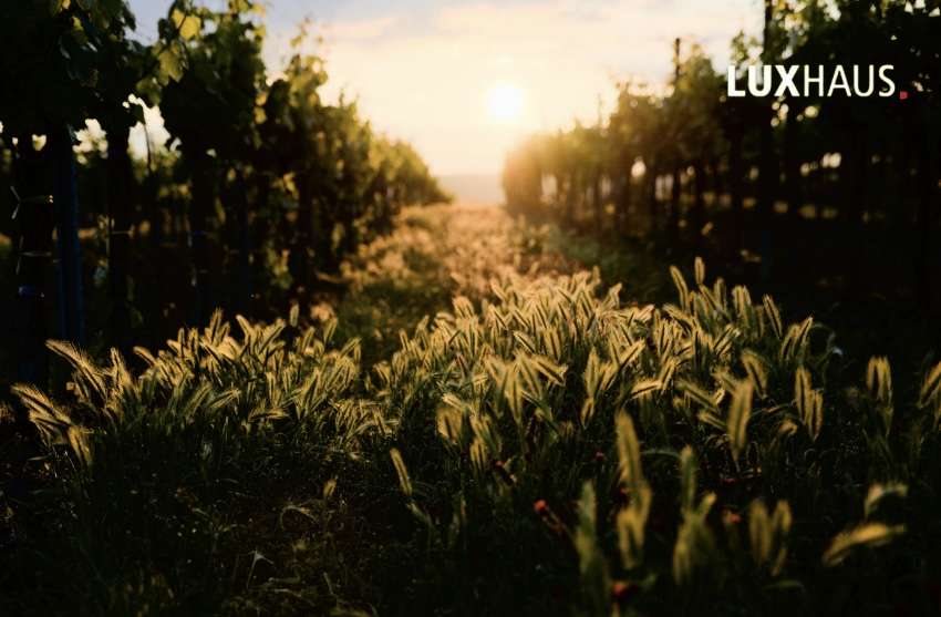 Thumbnail-Grundstück zu verkaufen in Waldbronn 340.000,00 € 700 m²