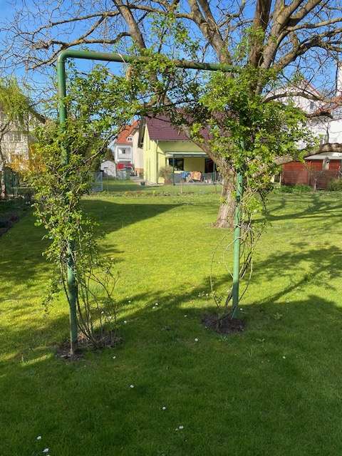 Thumbnail-Haus zum Kaufen in Mörfelden-Walldorf 890.000,00 € 195 m²