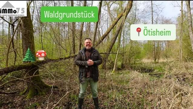 Thumbnail-Grundstück zu verkaufen in Ötisheim 7.500,00 € 2261 m²