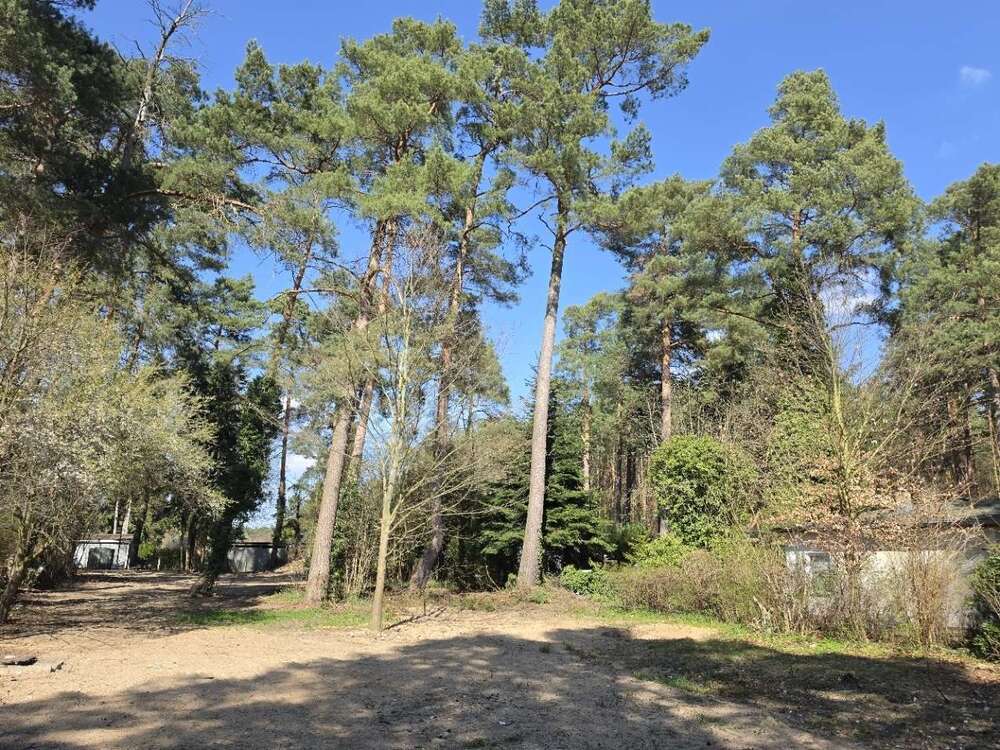 Thumbnail-Grundstück zu verkaufen in Mühlenbecker Land 150.000,00 € 685 m²
