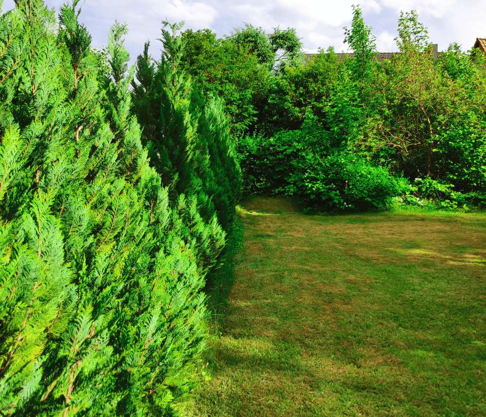 Thumbnail-Grundstück zu verkaufen in Berlin 399.000,00 € 551 m²