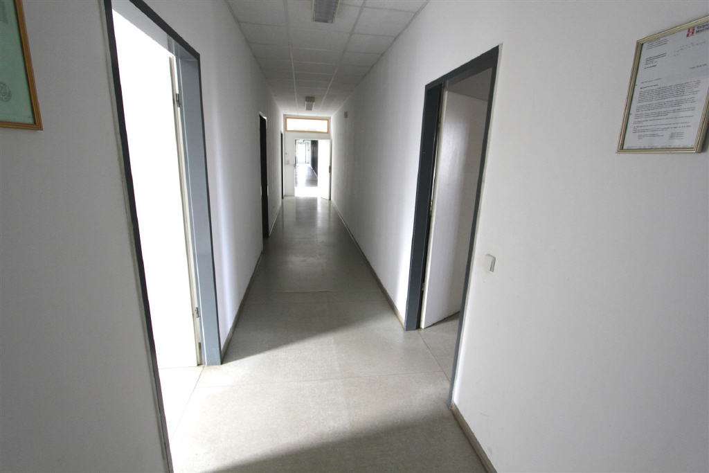 Thumbnail-Büro in Halle (Saale)-Versorgungsgebiet 350,00 € 92 m²