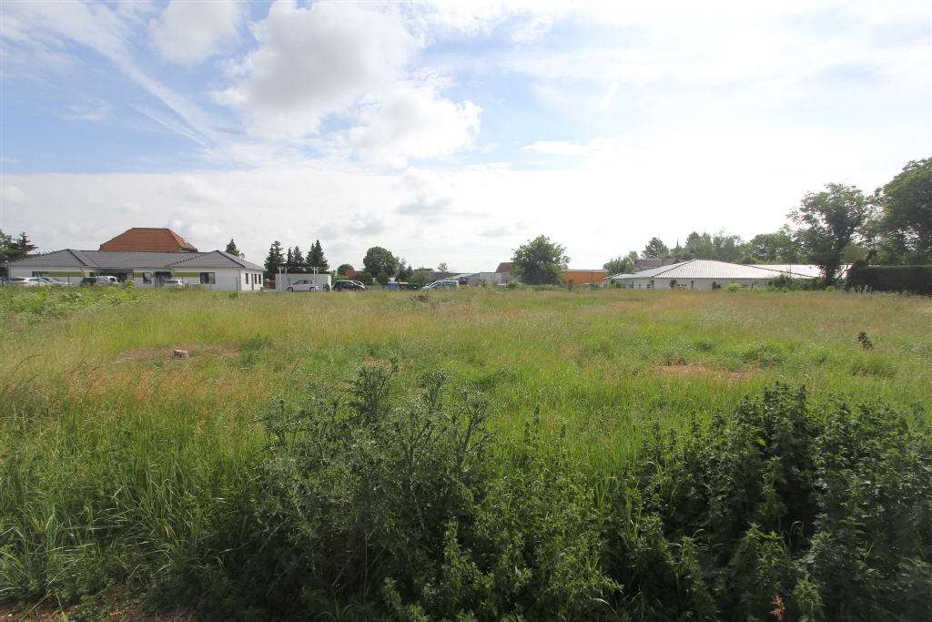 Thumbnail-Grundstück zu verkaufen in Teutschenthal-Steuden 82.175,00 € 865 m²