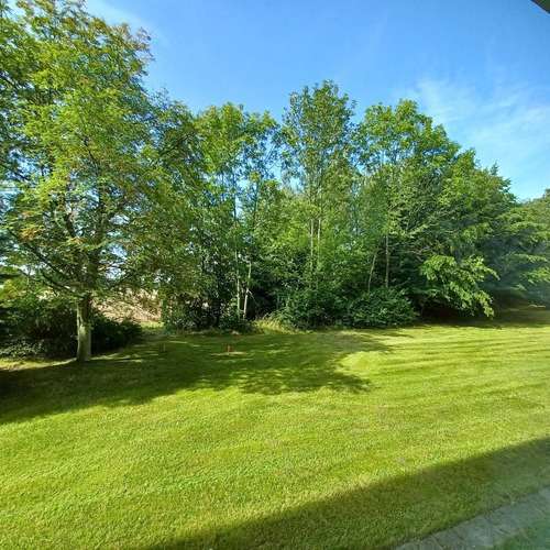 Thumbnail-Wohnung zum Mieten in Freiberg 394,00 € 52.42 m²