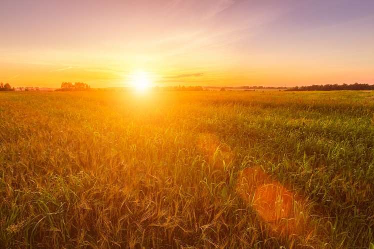 Thumbnail-Grundstück zu verkaufen in Velten 62.700,00 € 285 m²