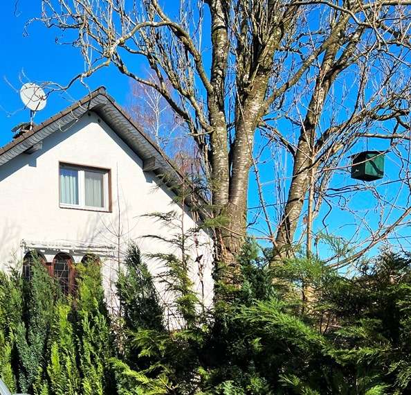 Thumbnail-Haus zum Kaufen in Nümbrecht 204.000,00 € 285 m²