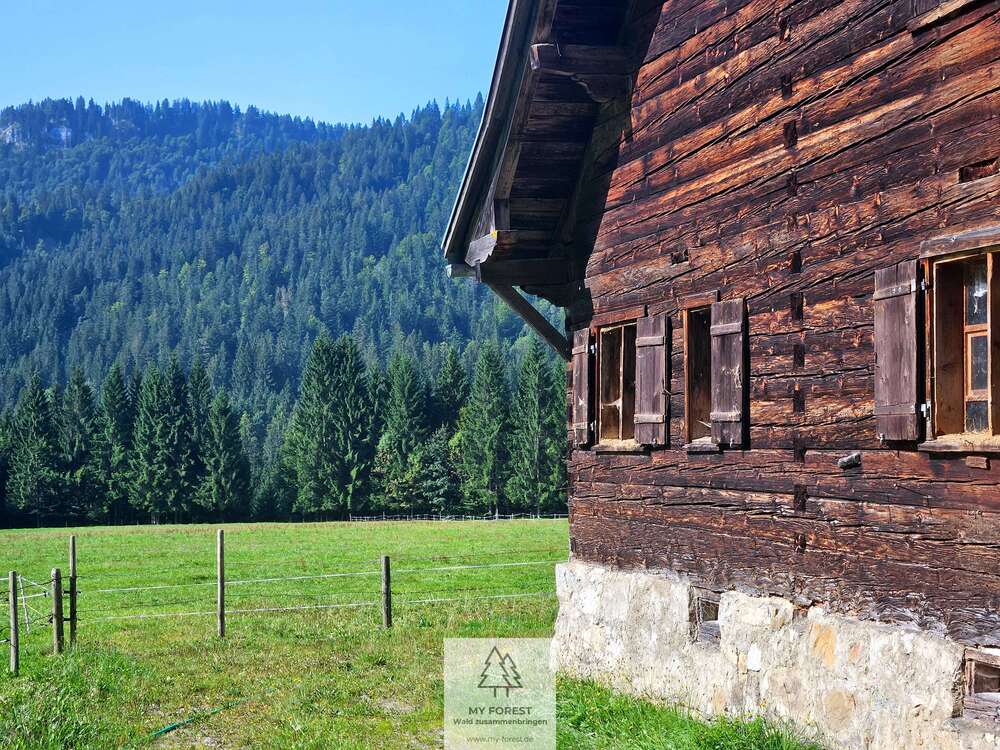 Thumbnail-Haus zum Kaufen in Balderschwang 4.950.000,00 € 120 m²