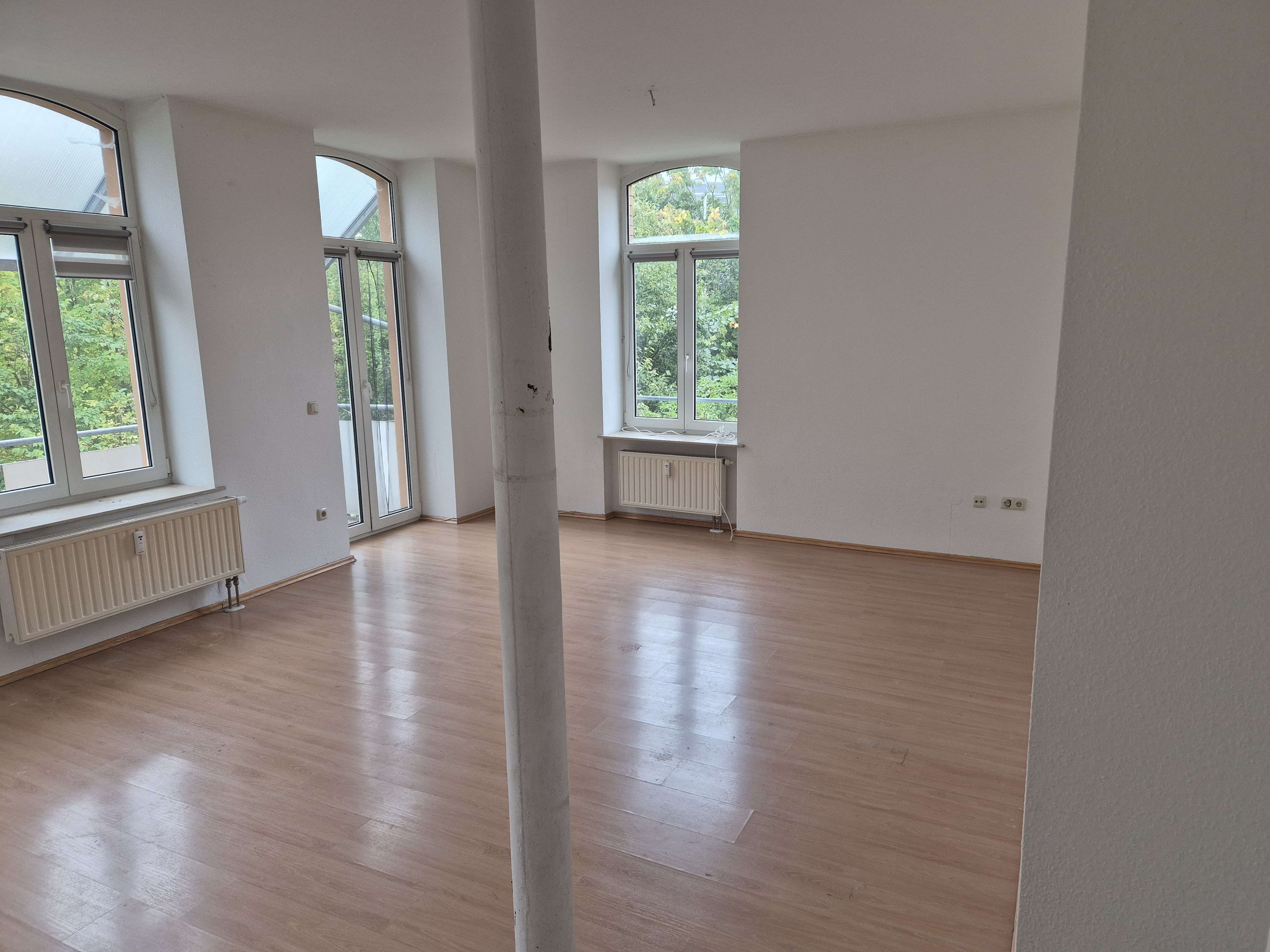 Thumbnail-Wohnung zum Mieten in Plauen 260,00 € 55.73 m²