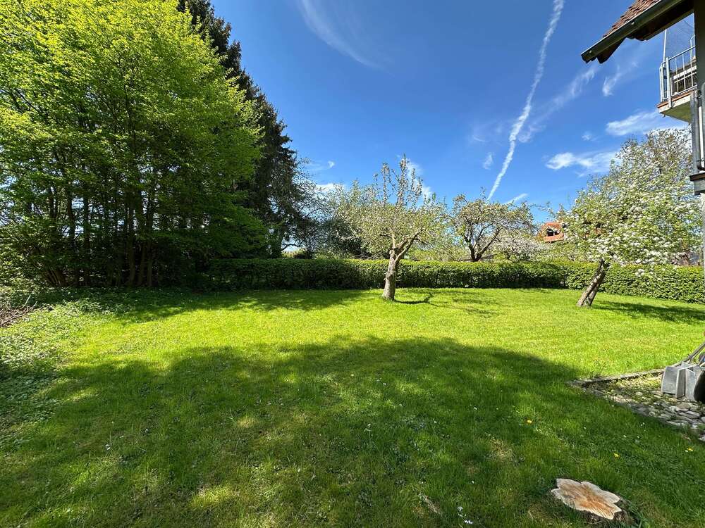 Thumbnail-Grundstück zu verkaufen in Mücke 35.000,00 € 600 m²