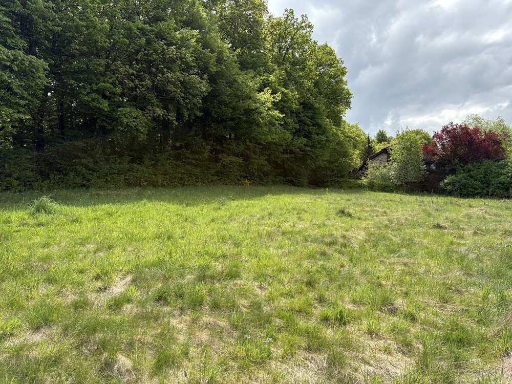 Thumbnail-Grundstück zu verkaufen in Reichshof Denklingen 44.502,00 € 261 m²