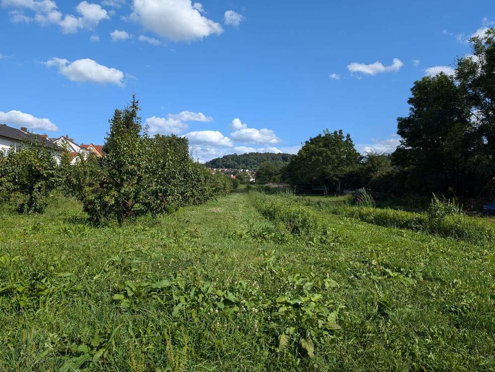 Thumbnail-Grundstück zu verkaufen in Weinheim 429.200,00 € 464 m²