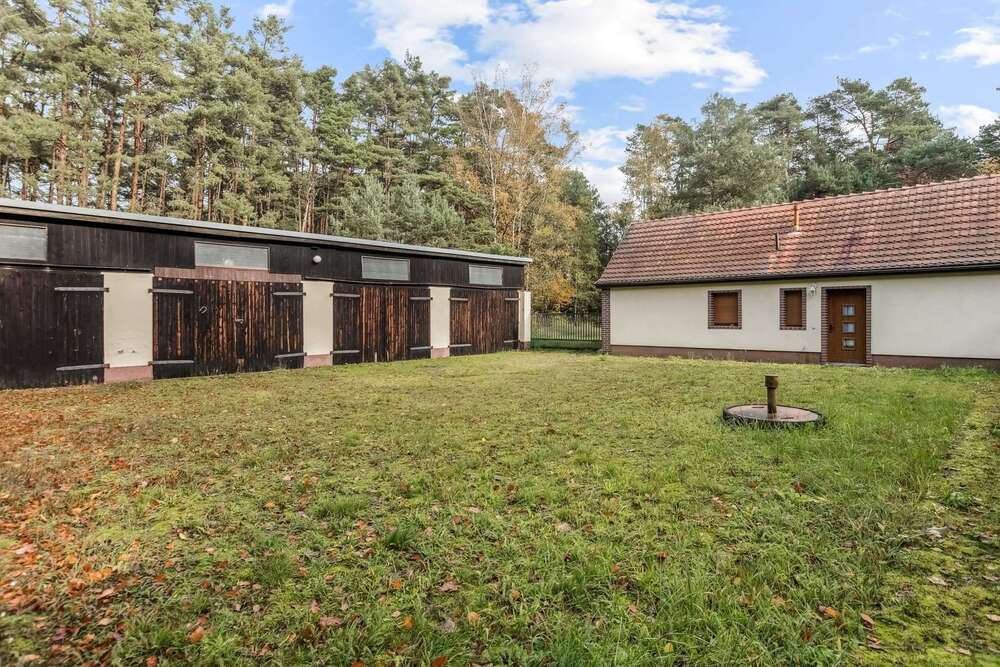 Thumbnail-Haus zum Kaufen in Borkwalde 295.000,00 € 53 m²