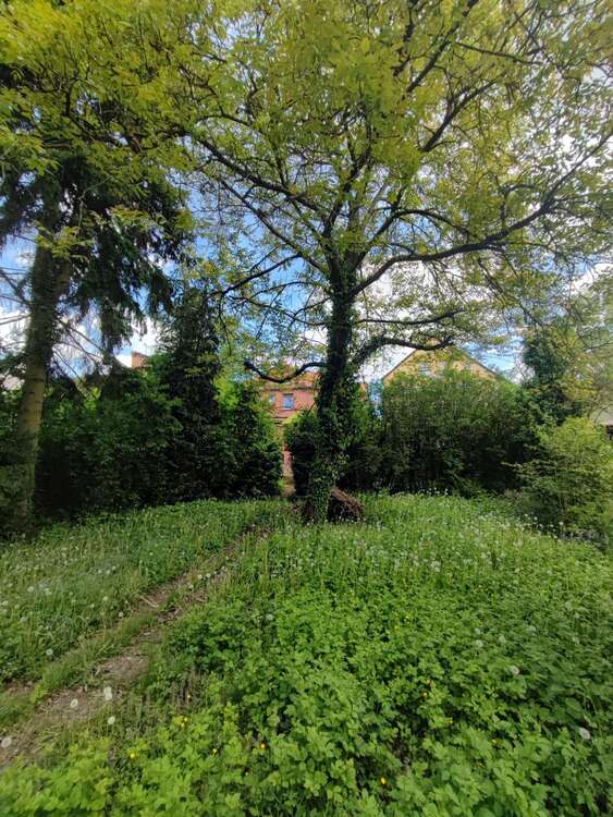 Thumbnail-Haus zum Kaufen in Mühlheim am Main 525.000,00 € 120 m²