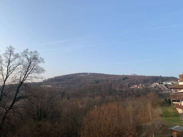 Thumbnail-Wohnung zum Mieten in Lindenfels 450,00 € 50 m²