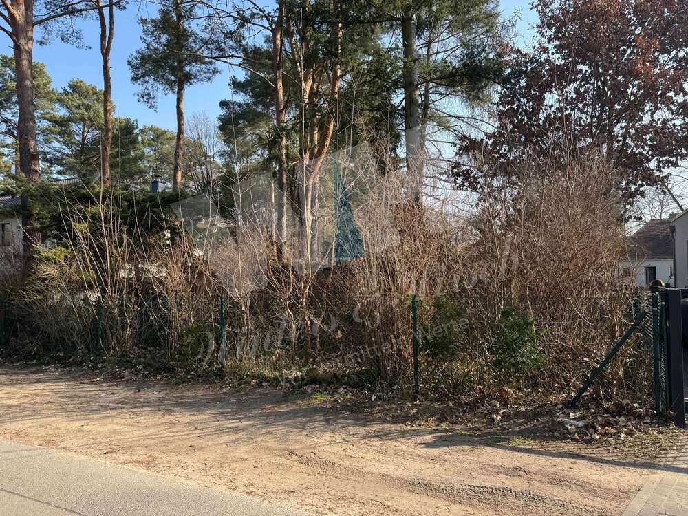 Thumbnail-Grundstück zu verkaufen in Groß Glienicke 590.000,00 € 990 m²