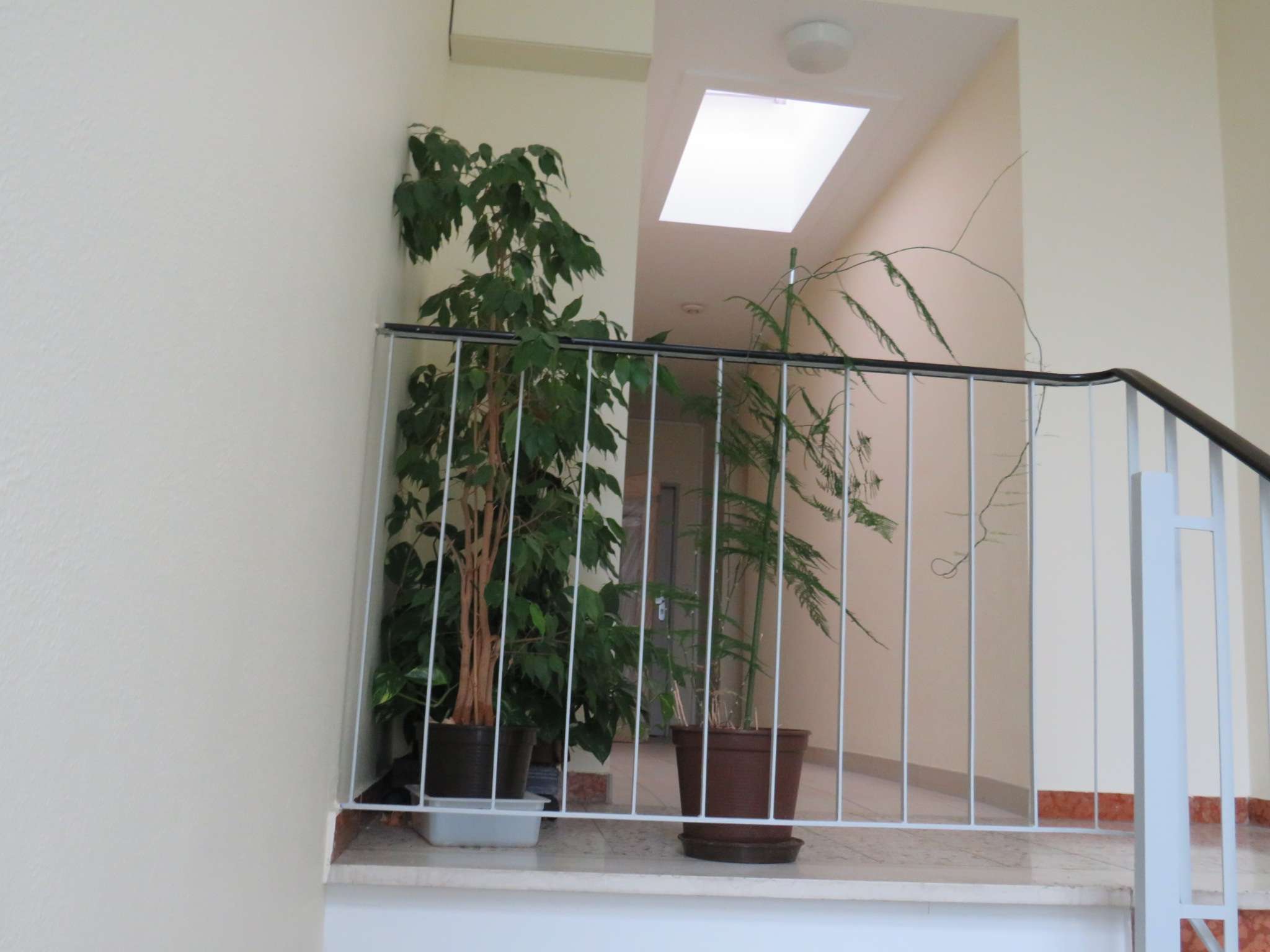 Thumbnail-Wohnung zum Kaufen in Sulzbach 199.500,00 € 56 m²