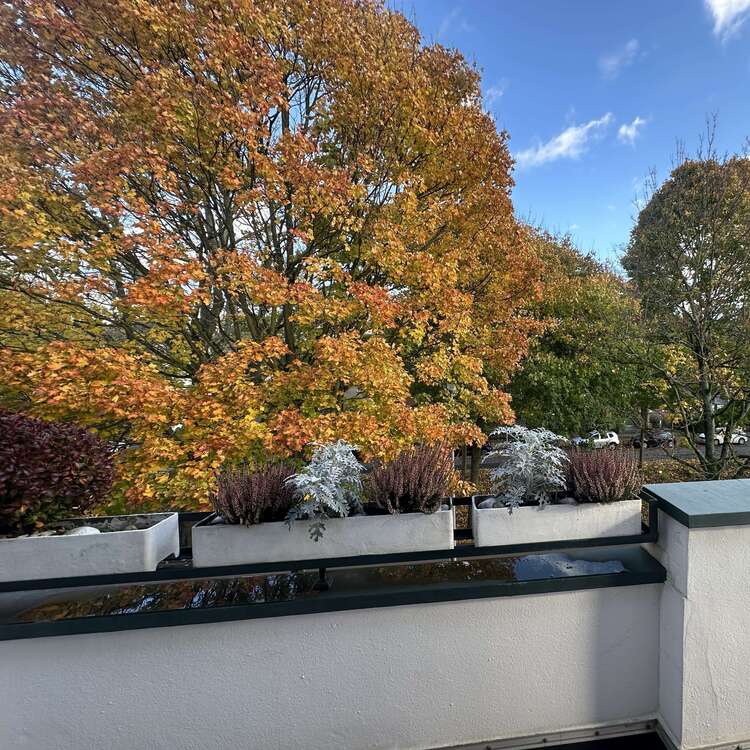 Thumbnail-Wohnung zum Kaufen in Krefeld 275.000,00 € 83 m²