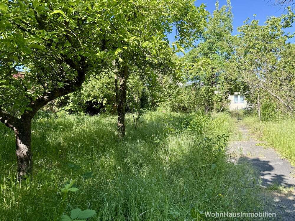 Thumbnail-Grundstück zu verkaufen in Berlin 490.000,00 € 1200 m²