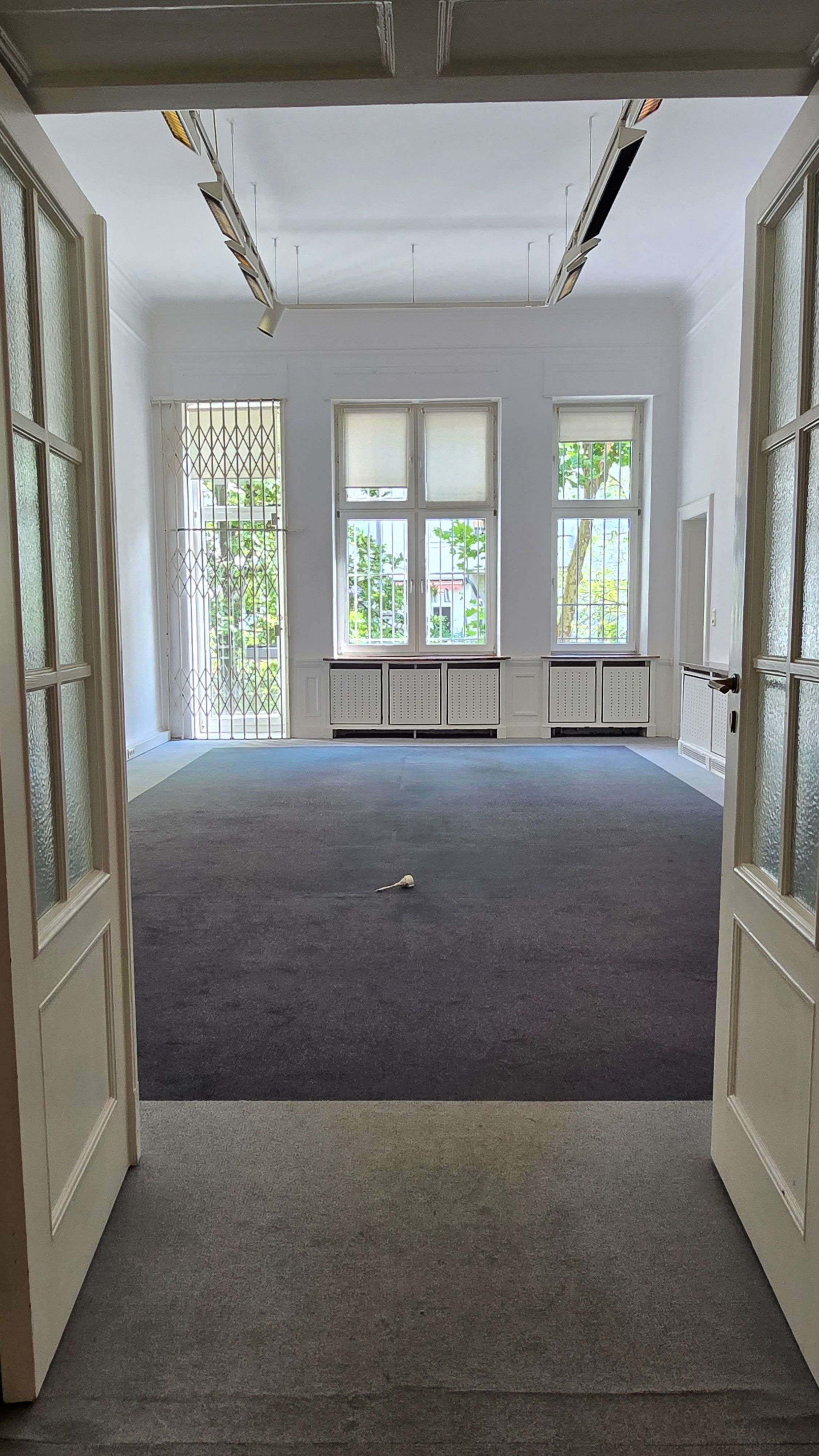 Thumbnail-Büro in Düsseldorf 4.800,00 € 200 m²