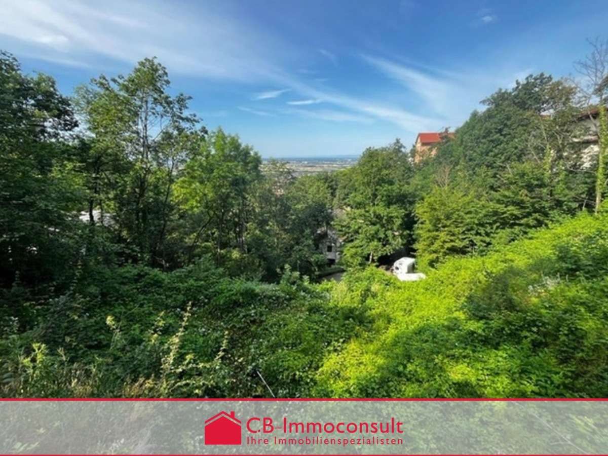 Thumbnail-Grundstück zu verkaufen in Schriesheim 399.000,00 € 839 m²