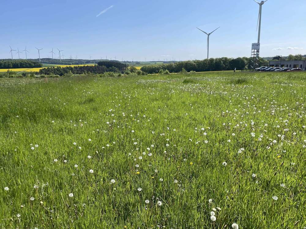 Thumbnail-Grundstück in Roth 222.000,00 € 3151 m²