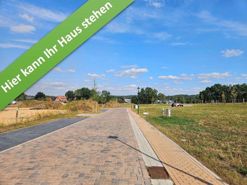 Thumbnail-Haus zum Kaufen in Bispingen 408.350,00 € 142 m²