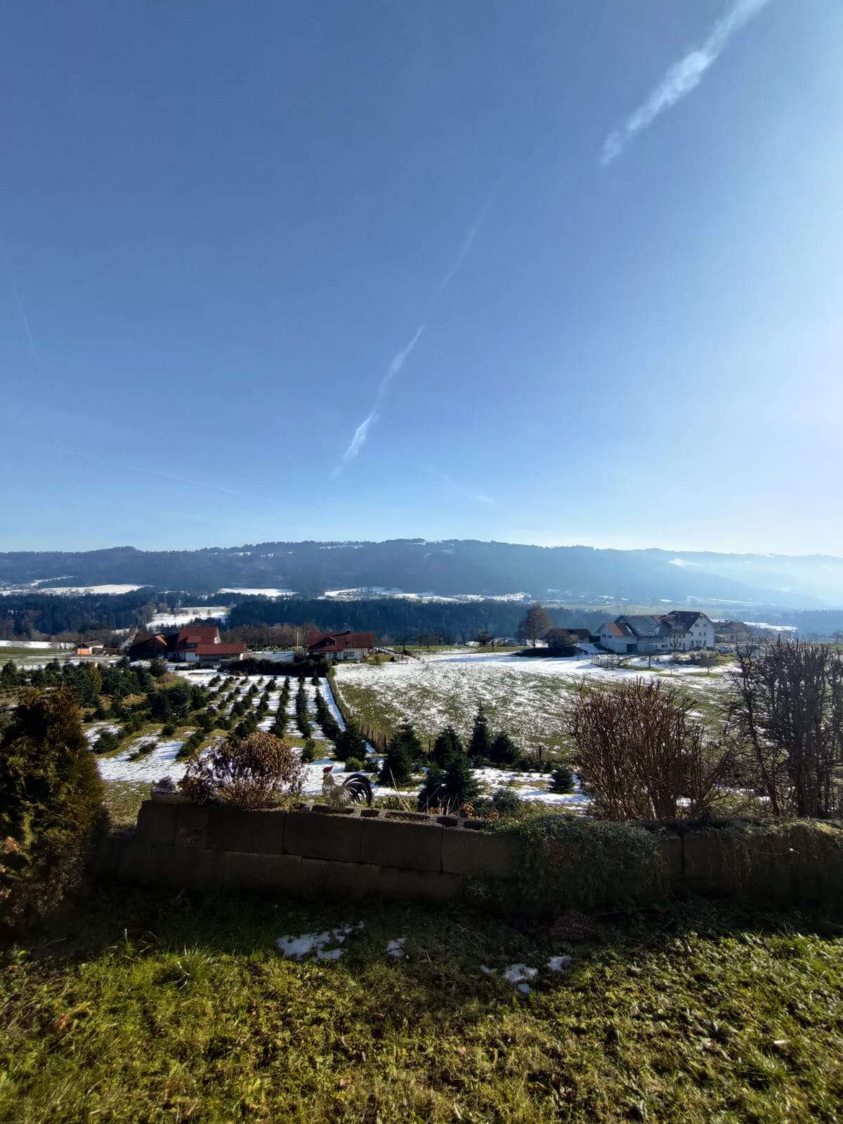 Thumbnail-Haus zum Kaufen in Sigmarszell 549.000,00 € 168 m²