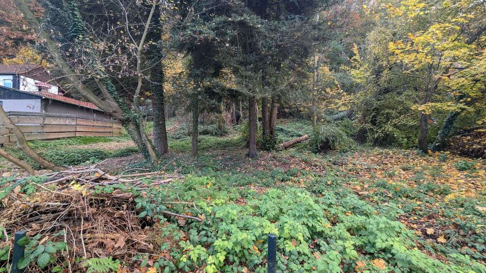 Thumbnail-Grundstück zu verkaufen in Pirna 119.000,00 € 1139 m²